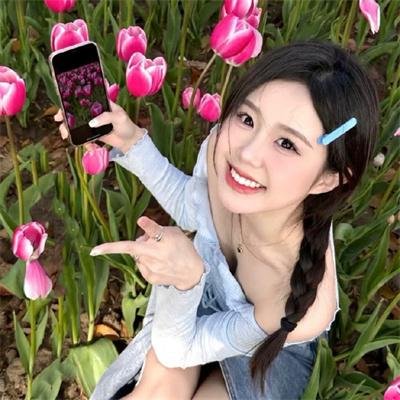 一个小型的专制共和国